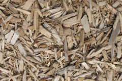 biomass boilers Pant Y Wacco